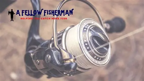 Canadian online casinos with high payouts